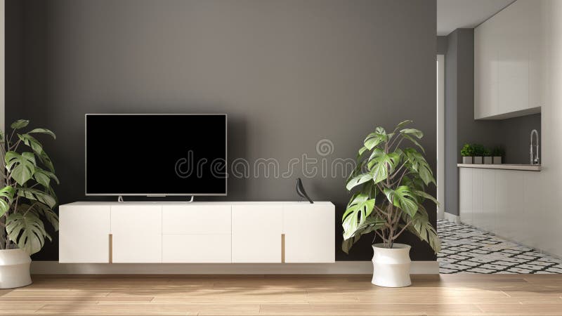Modern White and Gray Minimalist Living Room with Small Kitchen, Parquet  Floor, Tv Cabinet, Potted Plant. Scandinavian Colored Stock Illustration -  Illustration of indoors, room: 156964305