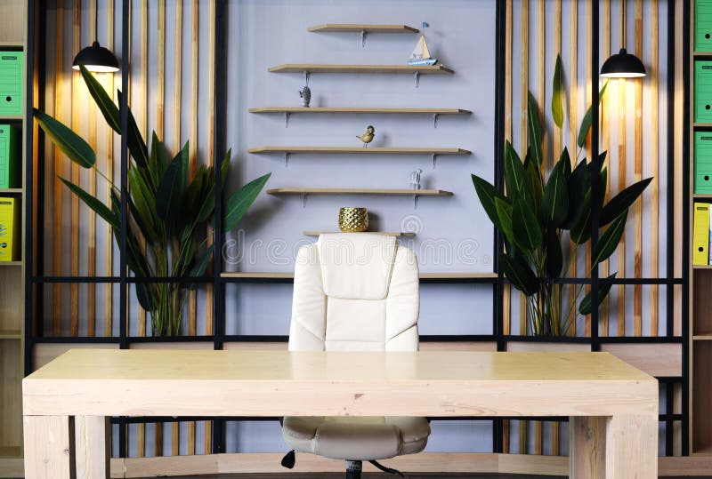 Modern White Office Interior with Stylish Decor Stock Image Image of