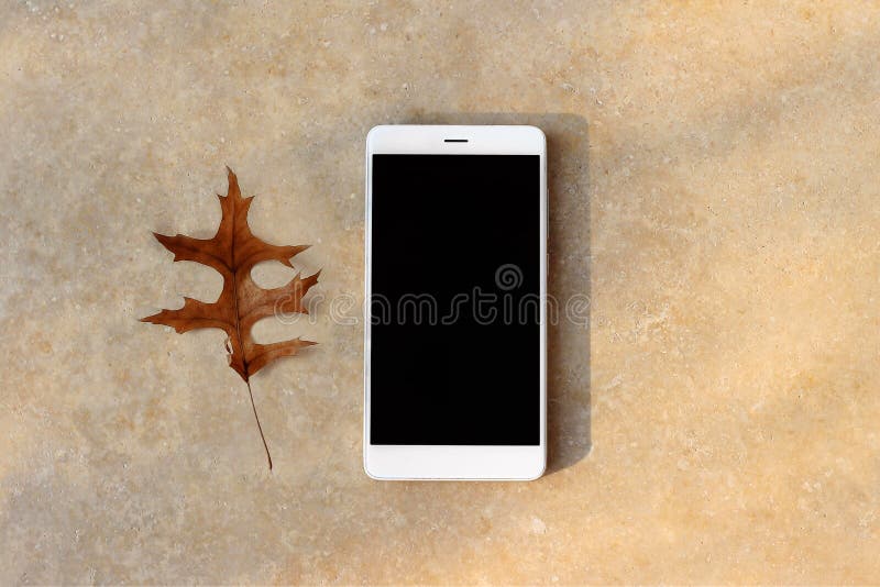 Modern white smartphone, cell phone with blank black display on table. Golden marble background with dry oak leaf royalty free stock images Modern white smartphone, cell phone with blank black display on table. Golden marble background with dry oak leaf royalty free stock images