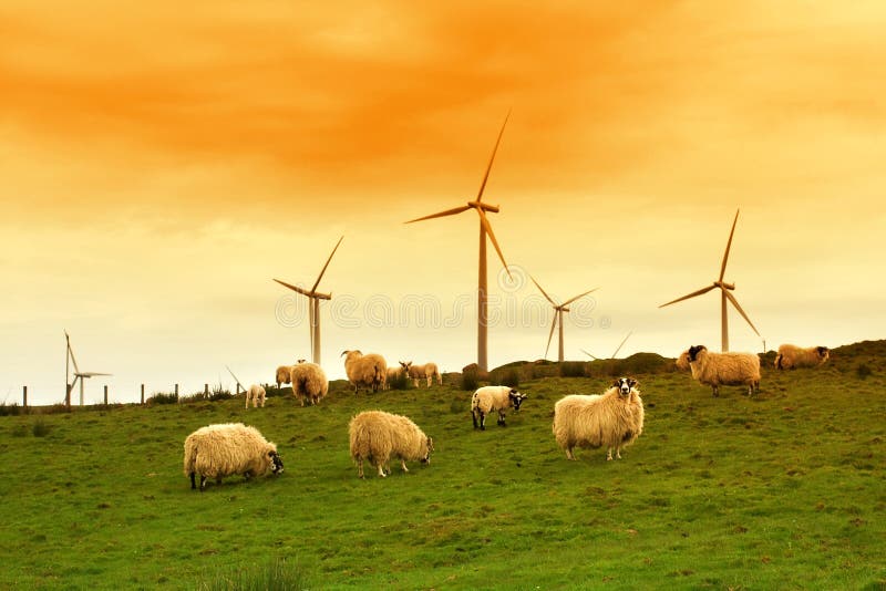 Modern windmill in the dusk