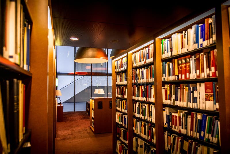 Moderna, varma och trevliga bibliotek, med hyllor fulla av böcker och vackra lampor