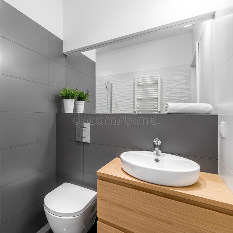 Moderne grijze badkamers in grijs en wit royalty-vrije stock afbeelding Moderne grijze badkamers in grijs en wit royalty-vrije stock afbeelding