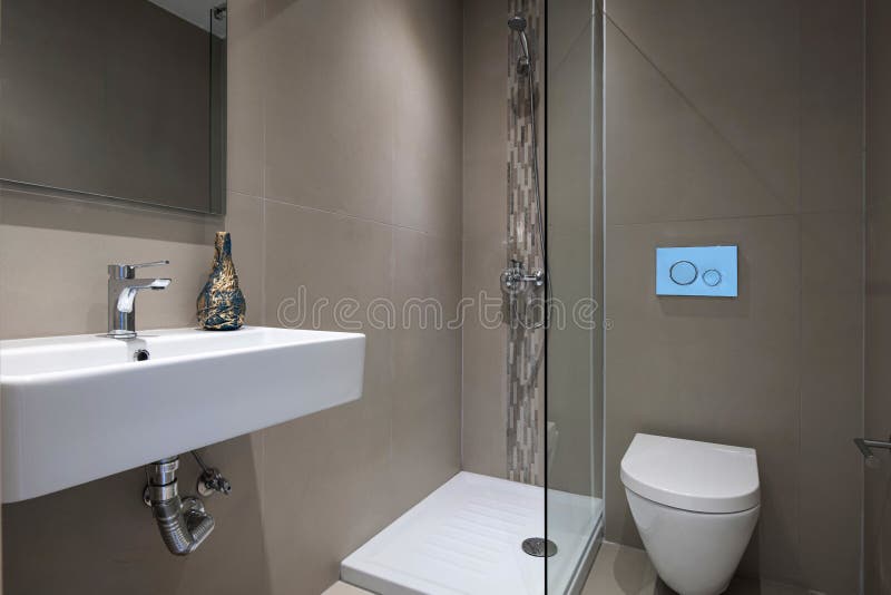 Moderne Grijze Binnenkant Van Kleine Met Een Rechthoekige Douche Gemonteerd Wc Toilet White Hunter Stock Afbeelding - of mozaïek, glas: 205563655