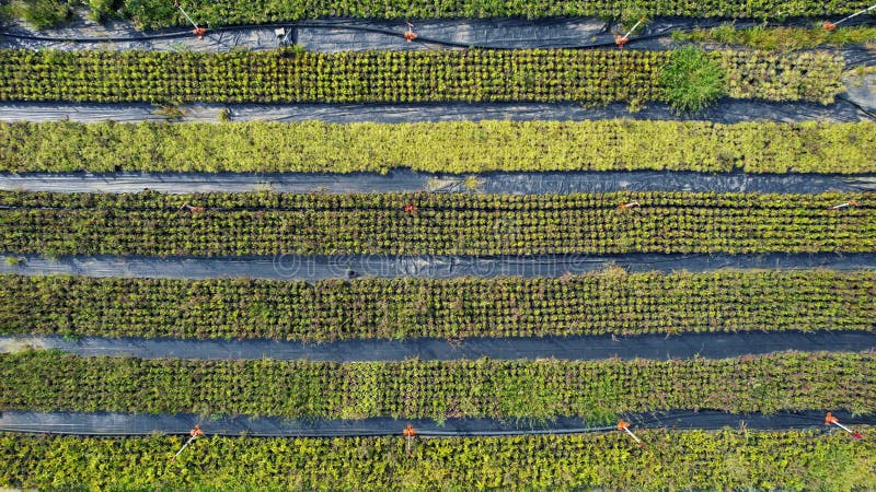 Moderne landwirtschaftliche Methoden