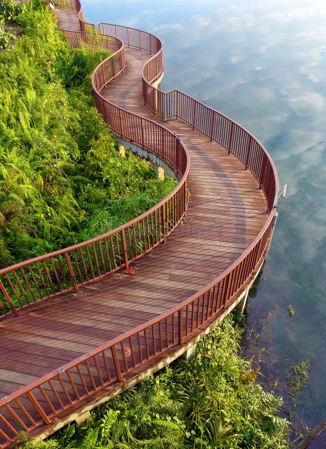 Modo della passeggiata della natura di Lakeside fotografia stock libera da diritti