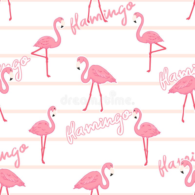 Modèle continu de bandes dessinées mignons de flamants roses sur fond blanc avec le vecteur modifiable d'oiseaux tropicaux sauvage