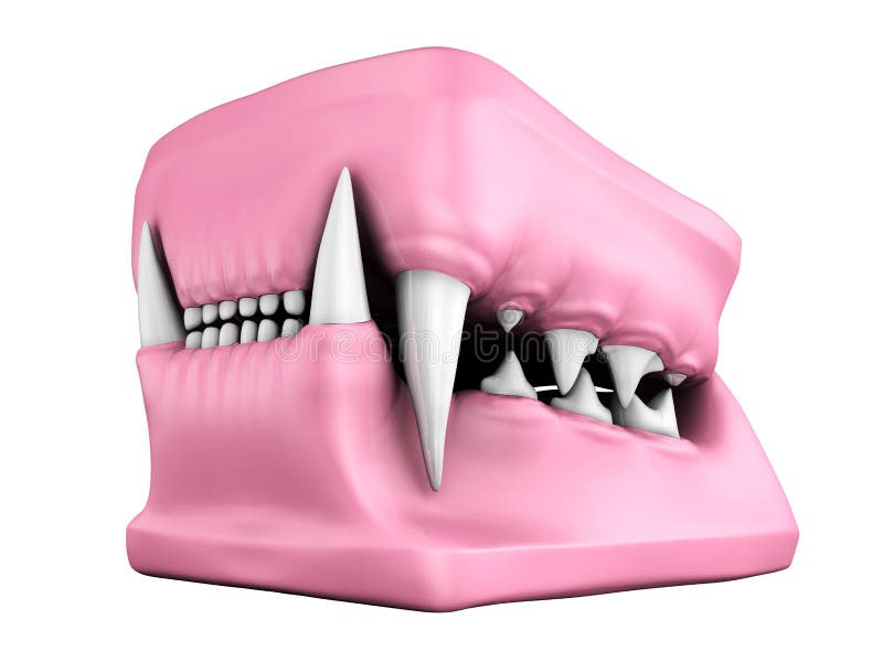 modèle 3d de fonte de dents de chat illustration stock modèle 3d de fonte de dents de chat illustration stock