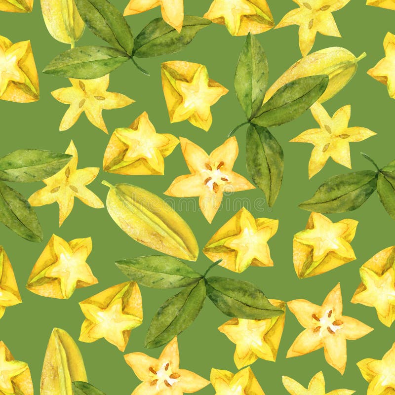 Modèle de carambolier sur le vert images stock Modèle de carambolier sur le vert images stock