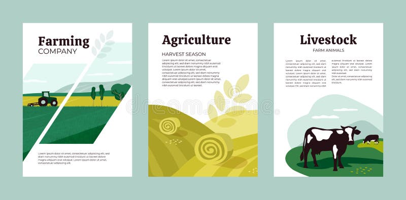 Set of posters with agriculture, farming and livestock. Vector illustrations of tractor, hayfield, hay stack rolls, farm animals and cows in pasture. Template for banner, cover, flyer, print, brochure. Set of posters with agriculture, farming and livestock. Vector illustrations of tractor, hayfield, hay stack rolls, farm animals and cows in pasture. Template for banner, cover, flyer, print, brochure