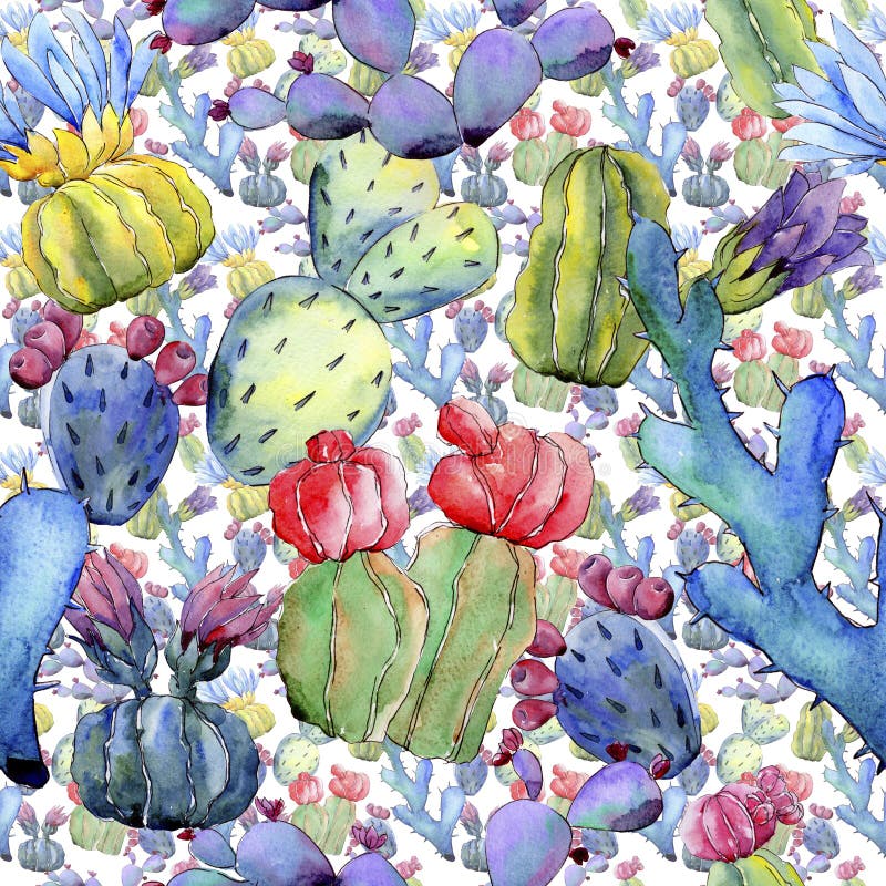 Modèle de fleur de cactus de Wildflower dans un style d'aquarelle illustration libre de droits Modèle de fleur de cactus de Wildflower dans un style d'aquarelle illustration libre de droits