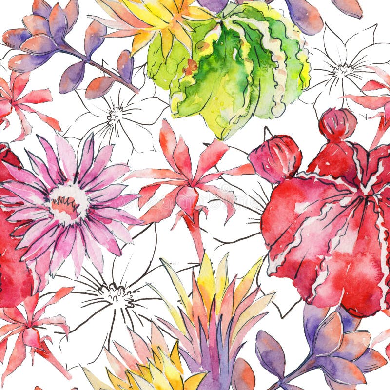 Modèle de fleur de cactus de Wildflower dans un style d'aquarelle illustration de vecteur Modèle de fleur de cactus de Wildflower dans un style d'aquarelle illustration de vecteur