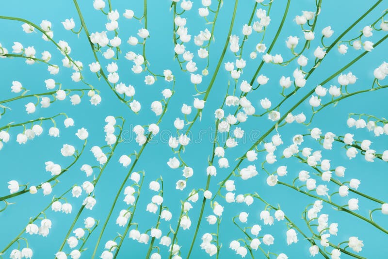 Modèle de fleurs du muguet pour le beau fond floral style plat de configuration photos libres de droits