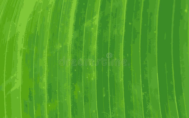 Modèle de fond vert de feuille de banane illustration de vecteur Modèle de fond vert de feuille de banane illustration de vecteur