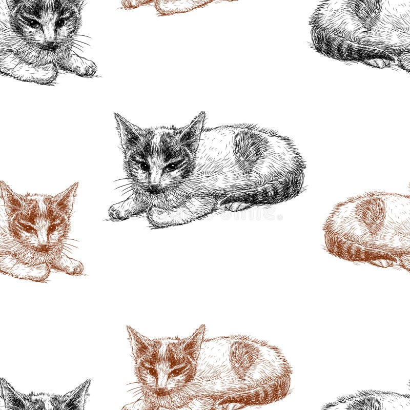 Modèle de vecteur des croquis des chatons illustration de vecteur Modèle de vecteur des croquis des chatons illustration de vecteur