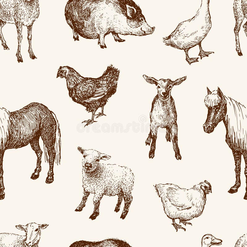 The vector pattern of the various farm animal. The vector pattern of the various farm animal.