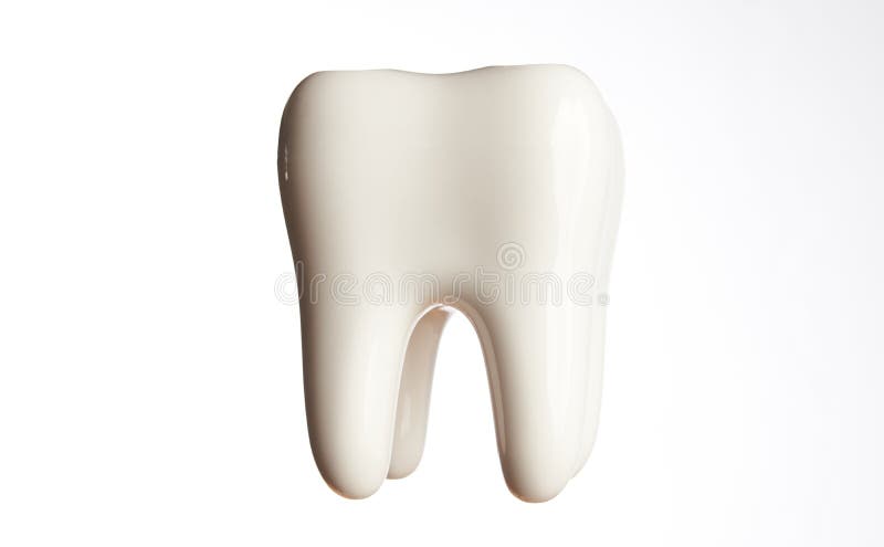 Modèle en céramique de dent d'isolement sur le blanc images stock Modèle en céramique de dent d'isolement sur le blanc images stock