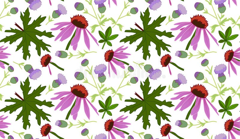 Modèle floral d'été avec les fleurs roses et lilas Illustration de vecteur, fond transparent illustration de vecteur Modèle floral d'été avec les fleurs roses et lilas Illustration de vecteur, fond transparent illustration de vecteur