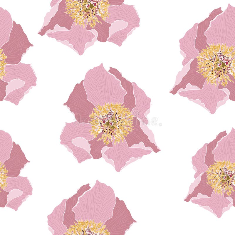 Modèle floral mignon avec la fleur rose de pivoine Texture sans joint de vecteur Calibre élégant pour des copies de mode illustration de vecteur Modèle floral mignon avec la fleur rose de pivoine Texture sans joint de vecteur Calibre élégant pour des copies de mode illustration de vecteur