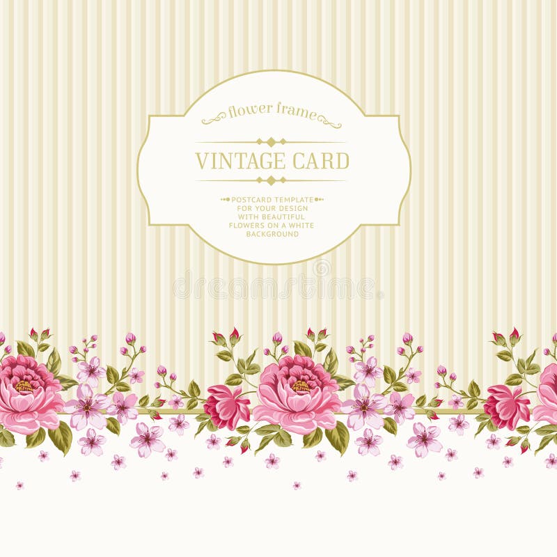 Modèle luxueux de pivoine de couleur. illustration de vecteur