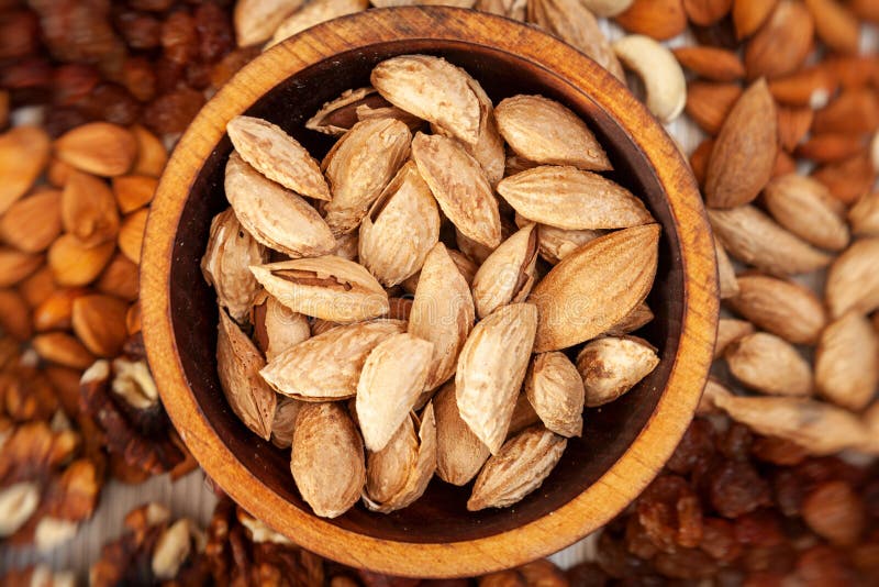Modèle Nuts photo libre de droits Modèle Nuts photo libre de droits
