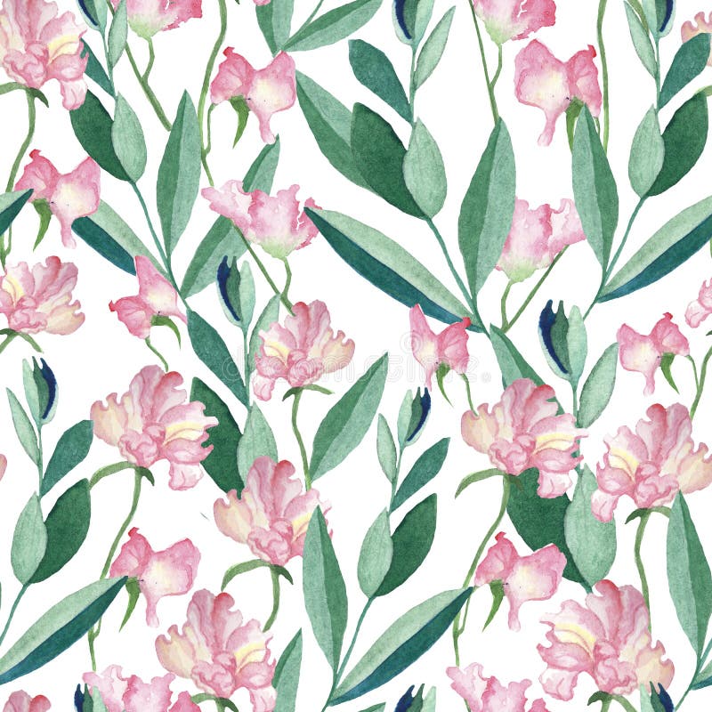 Modèle sans couture avec des fleurs et des feuilles d'aquarelle illustration stock Modèle sans couture avec des fleurs et des feuilles d'aquarelle illustration stock