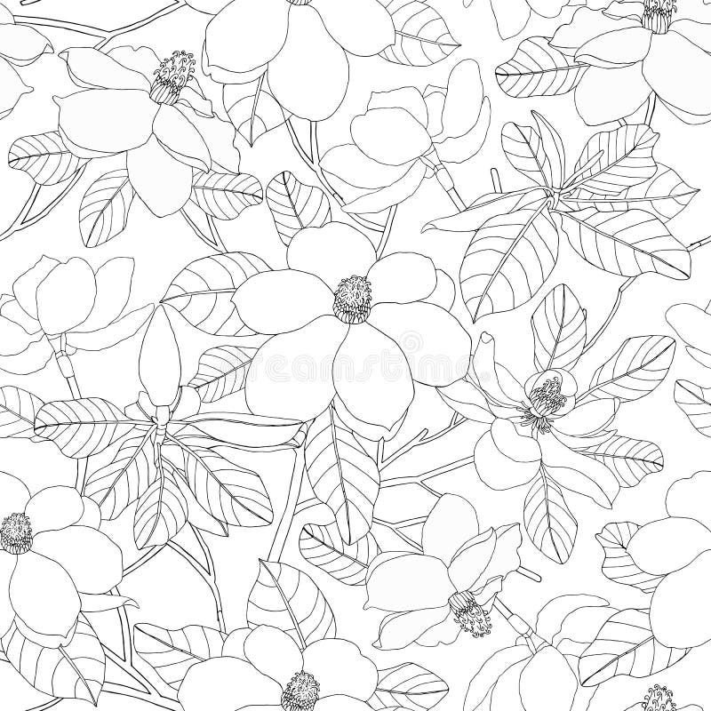 Modèle sans couture avec des fleurs et des feuilles de magnolia Vecteur floral illustration stock
