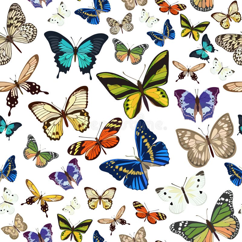 Modèle sans couture avec différents types de papillons multicolores Illustration de vecteur illustration de vecteur Modèle sans couture avec différents types de papillons multicolores Illustration de vecteur illustration de vecteur