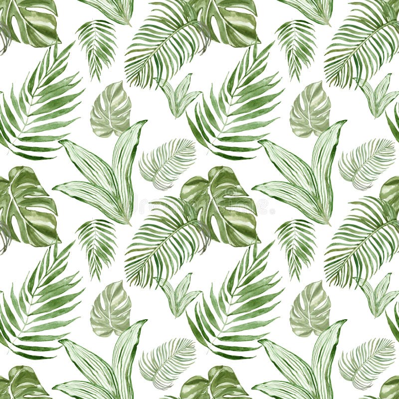 Modèle sans couture botanique de feuilles tropicales d'aquarelle avec des usines Belle copie verte de répétition illustration libre de droits Modèle sans couture botanique de feuilles tropicales d'aquarelle avec des usines Belle copie verte de répétition illustration libre de droits