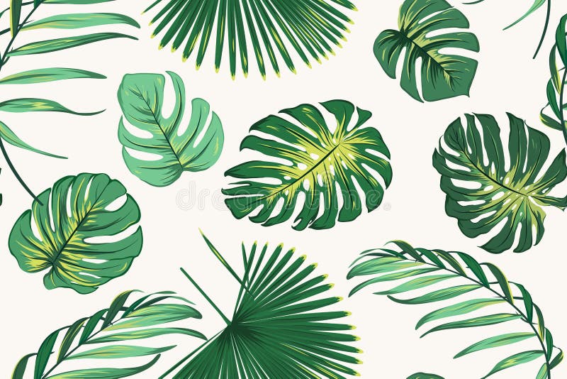 Modèle sans couture botanique de verdure tropicale exotique de fougère Feuilles vert clair réalistes vives de monstera de palmier illustration stock Modèle sans couture botanique de verdure tropicale exotique de fougère Feuilles vert clair réalistes vives de monstera de palmier illustration stock