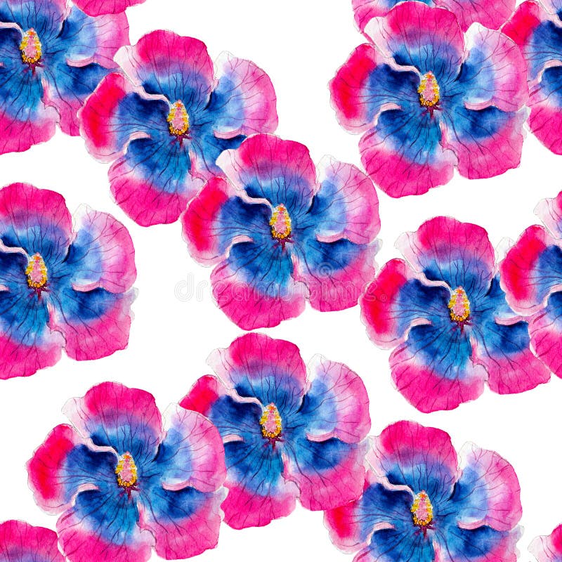 Modèle sans couture d'aquarelle de fleur de ketmie Fleurs tropicales lumineuses d'isolement sur le fond blanc, conception tirée p illustration libre de droits Modèle sans couture d'aquarelle de fleur de ketmie Fleurs tropicales lumineuses d'isolement sur le fond blanc, conception tirée p illustration libre de droits