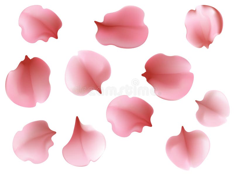 Modèle sans couture de beau fond clair de ressort avec les pétales roses de vol de Sakura - cerisier japonais illustration stock Modèle sans couture de beau fond clair de ressort avec les pétales roses de vol de Sakura - cerisier japonais illustration stock