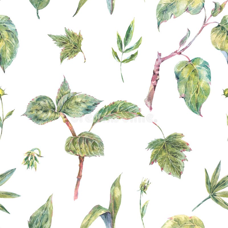 Modèle sans couture de feuilles et de brindilles de vert d'aquarelle illustration libre de droits Modèle sans couture de feuilles et de brindilles de vert d'aquarelle illustration libre de droits
