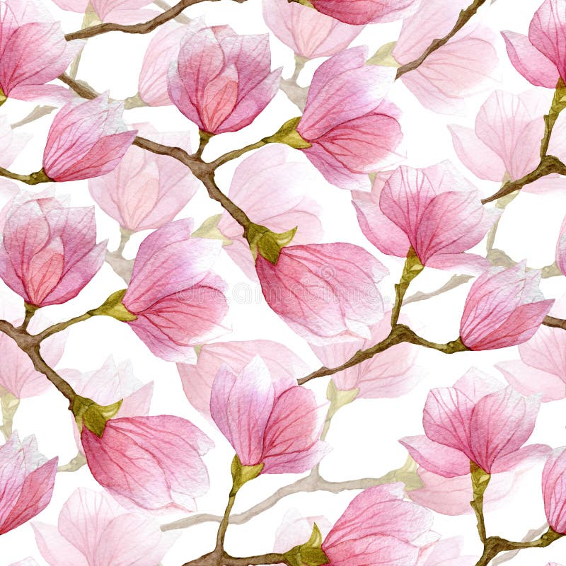 Modèle sans couture de magnolia d'aquarelle de ressort Conception tirée par la main pour le textile, copie, papier d'emballage illustration de vecteur Modèle sans couture de magnolia d'aquarelle de ressort Conception tirée par la main pour le textile, copie, papier d'emballage illustration de vecteur