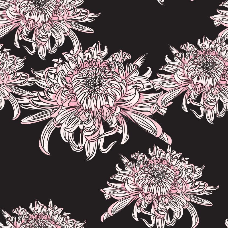Modèle sans couture de vecteur avec des chrysanthèmes illustration de main-dessin illustration stock Modèle sans couture de vecteur avec des chrysanthèmes illustration de main-dessin illustration stock