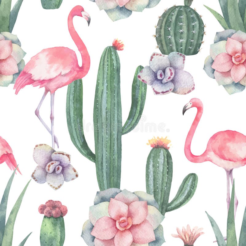 Modèle sans couture de vecteur d'aquarelle du flamant rose, des cactus et des plantes succulentes d'isolement sur le fond blanc illustration stock Modèle sans couture de vecteur d'aquarelle du flamant rose, des cactus et des plantes succulentes d'isolement sur le fond blanc illustration stock