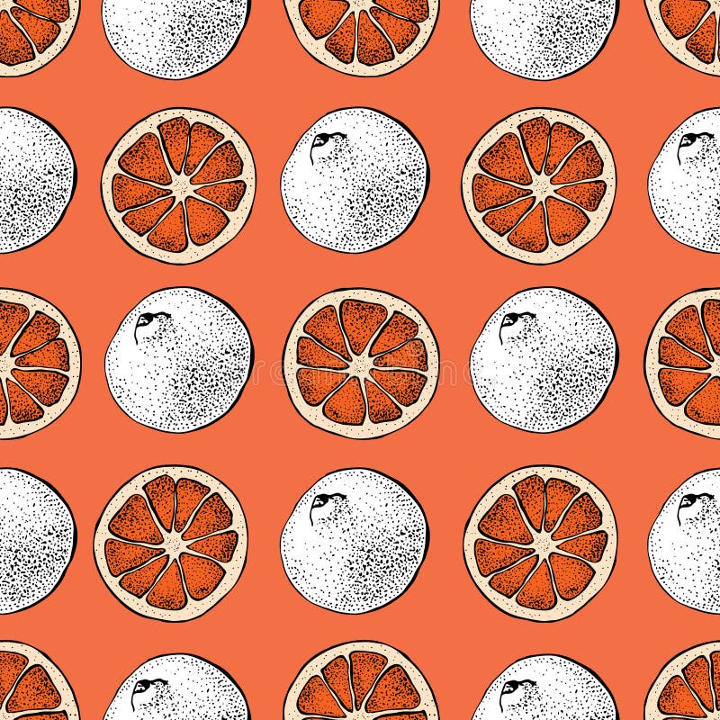 Modèle sans couture de vecteur de pamplemousse Objets tirés par la main avec le morceau découpé en tranches de pamplemousse sur u illustration stock Modèle sans couture de vecteur de pamplemousse Objets tirés par la main avec le morceau découpé en tranches de pamplemousse sur u illustration stock