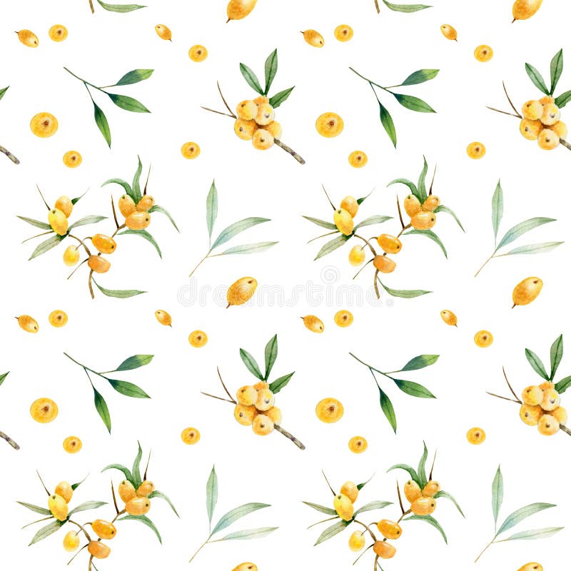 Modèle sans couture des baies de la branche e de viburnum, de nerprun et de prunellier illustration stock Modèle sans couture des baies de la branche e de viburnum, de nerprun et de prunellier illustration stock