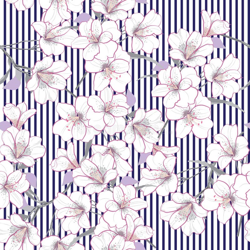 Modèle sans couture floral de jardin de vecteur d'été Patte de fleurs blanches illustration libre de droits Modèle sans couture floral de jardin de vecteur d'été Patte de fleurs blanches illustration libre de droits