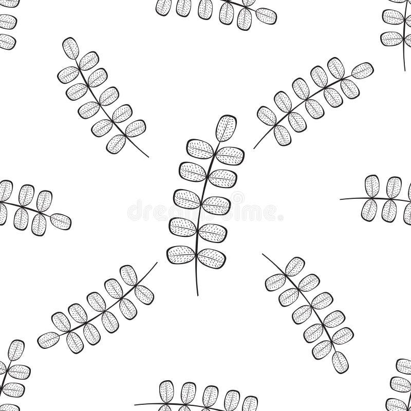 Modèle sans couture floral de vecteur illustration stock Modèle sans couture floral de vecteur illustration stock