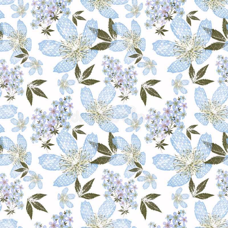 Modèle sans couture floral, fond mignon de blanc de fleurs illustration stock Modèle sans couture floral, fond mignon de blanc de fleurs illustration stock