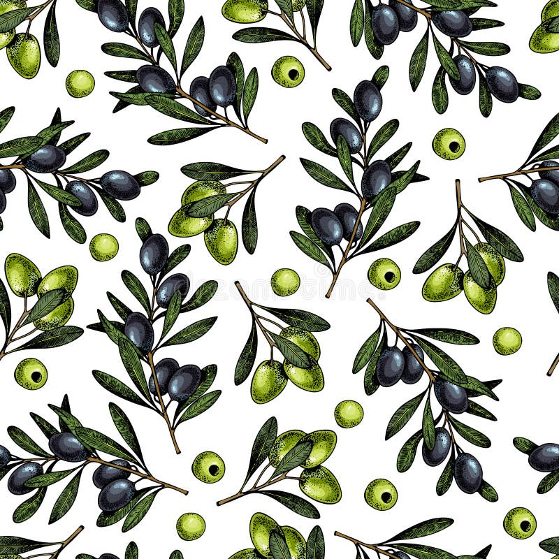 Modèle sans couture tiré par la main de vecteur des branches d'olivier Produits cosmétiques naturels Huiles de soins capillaires illustration stock Modèle sans couture tiré par la main de vecteur des branches d'olivier Produits cosmétiques naturels Huiles de soins capillaires illustration stock