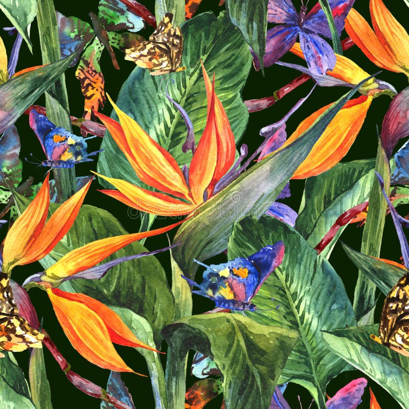 Tropical seamless pattern with exotic flowers and butterflies. Tropical seamless pattern with exotic flowers and butterflies.