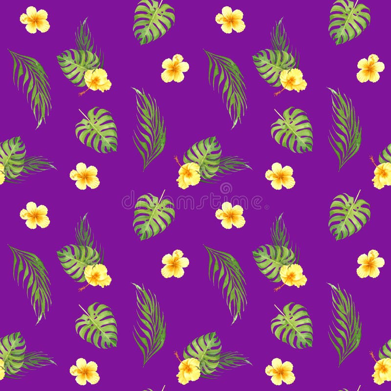 Modèle sans couture tropical floral d'aquarelle avec les feuilles vertes de monstera et les fleurs jaunes de ketmie illustration libre de droits Modèle sans couture tropical floral d'aquarelle avec les feuilles vertes de monstera et les fleurs jaunes de ketmie illustration libre de droits