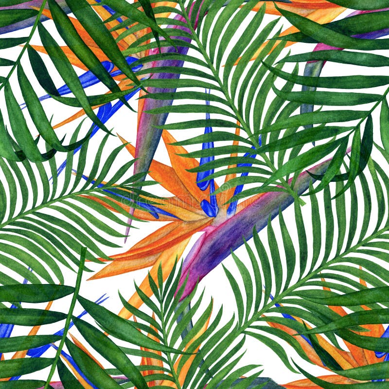 Modèle sans couture tropical floral pour le papier peint ou le tissu Modèle avec des fleurs et des feuilles Peinture faite main d illustration stock Modèle sans couture tropical floral pour le papier peint ou le tissu Modèle avec des fleurs et des feuilles Peinture faite main d illustration stock