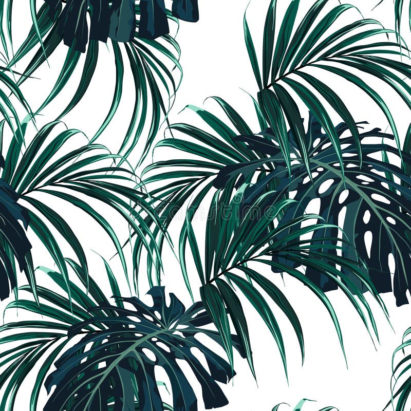 Modèle tropical de vecteur sans couture avec les palmettes vert-foncé sur le fond blanc illustration de vecteur