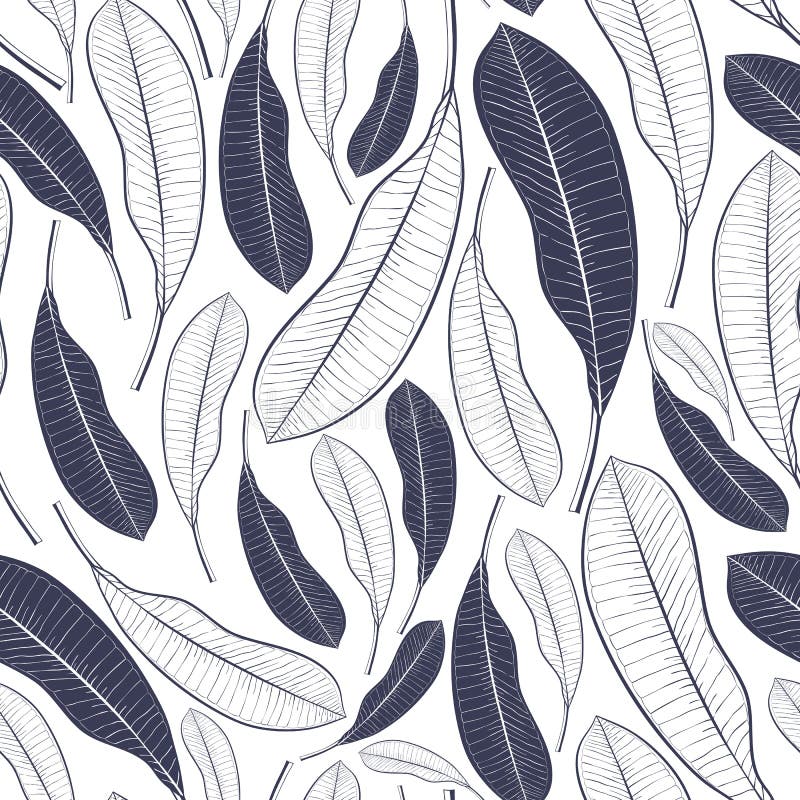 Modèle à la mode d'été avec les feuilles tropicales Feuilles graphiques de fruit de mangue d'isolement sur le fond blanc Illustra