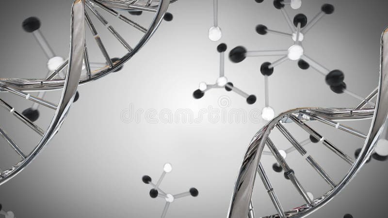 Modèles de double hélice et de molécule d'ADN illustration de vecteur