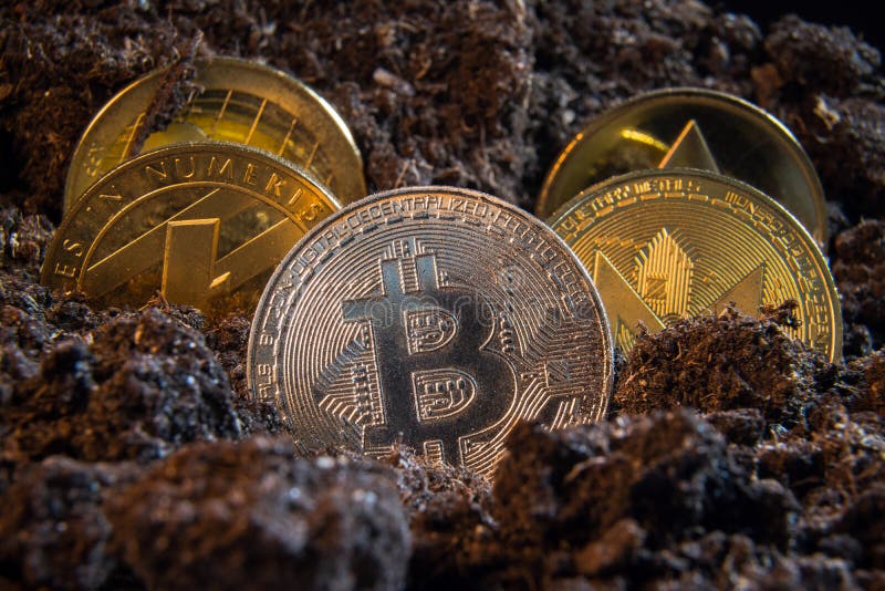 Moeda cripto da moeda do bitcoin de prata na terra da sujeira com a outro na parte traseira: Litecoin, ondinha, Monerd, moeda de fotografia de stock royalty free Moeda cripto da moeda do bitcoin de prata na terra da sujeira com a outro na parte traseira: Litecoin, ondinha, Monerd, moeda de fotografia de stock royalty free