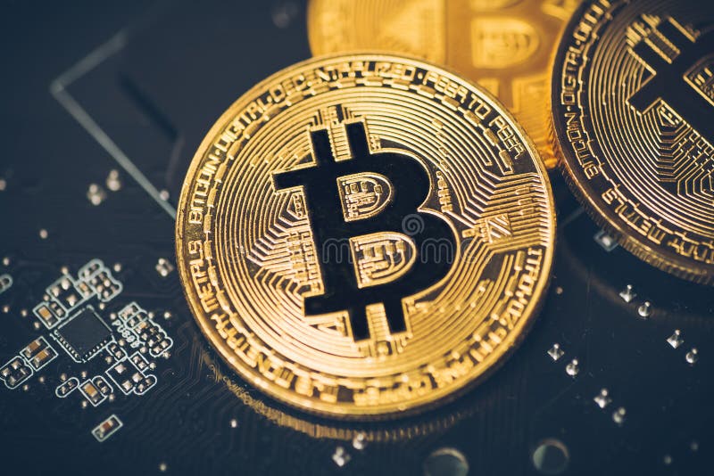 Moeda dourada do bitcoin de Cryptocurrency imagem conceptual para a moeda cripto