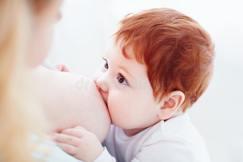 Moeder die haar aanbiddelijke gemberbaby de borst geven De baby bekijkt mamma, die concept plakken